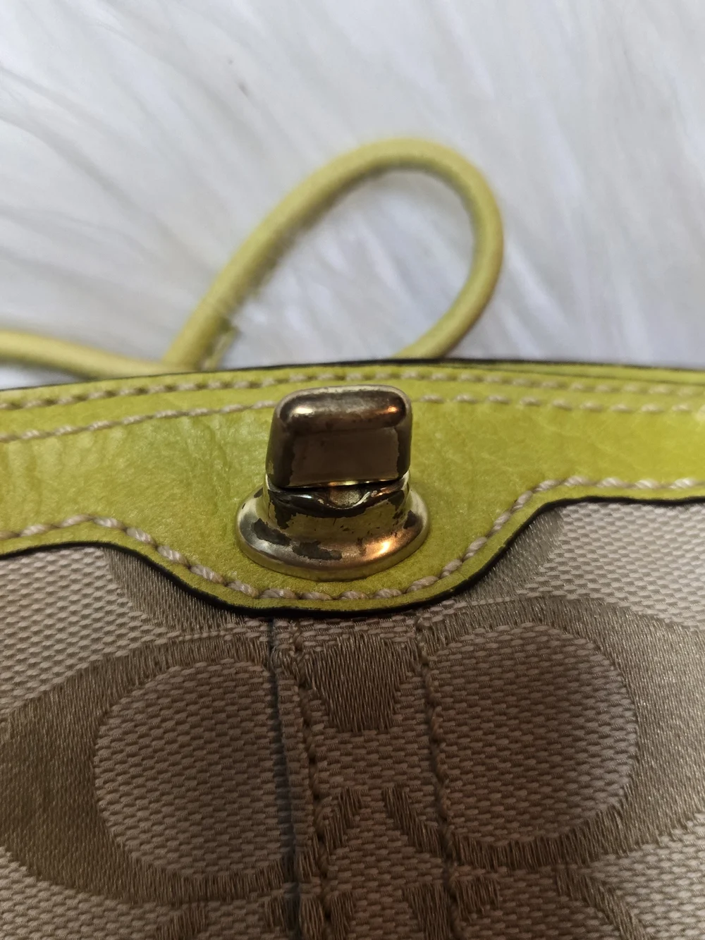 Coach Beige Signature Canvas Wristlet with Lime Trim